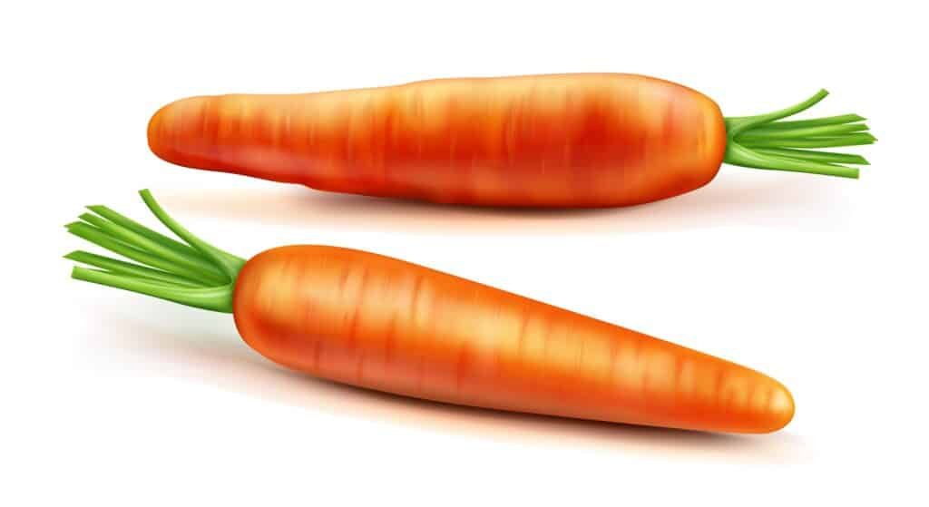 Fresh organic carrots with green tops, perfect for healthy vegetable trading and supply.