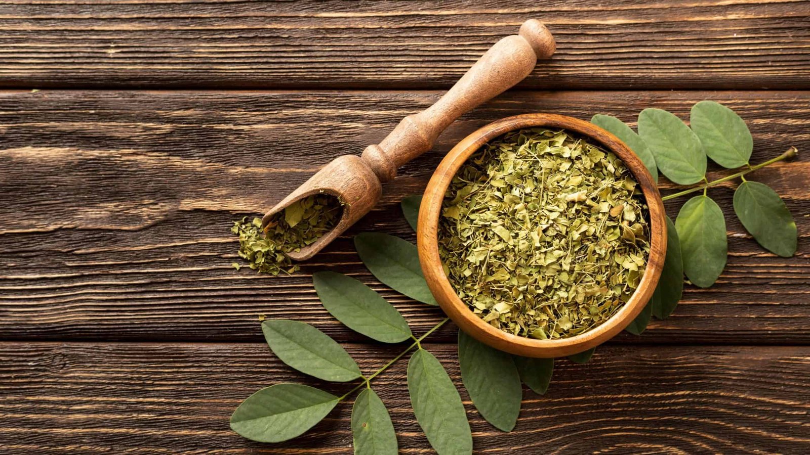 Moringa leaves background